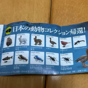 카이요도 캡슐Q 뮤지엄 일본의 동물 컬렉션 도호쿠/북한계의 원숭이 11종