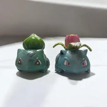 몬코레 초기 이상해씨 이상해풀