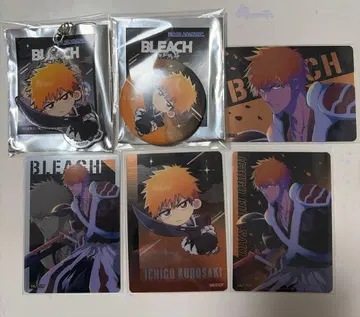 BLEACH 오코치 쿠로사키 이치고