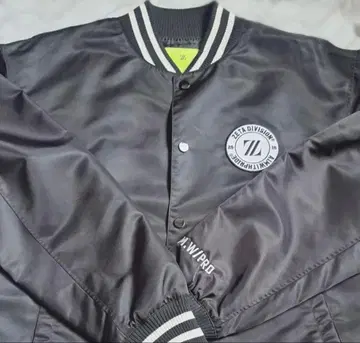 ZETA DIVISION VARSITY SATIN JACKET