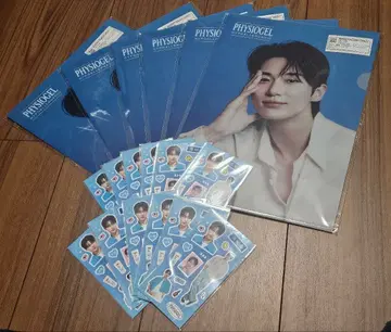 변우석 PHYSIOGEL 클리어 파일 스티커 한국
