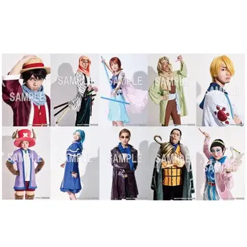 원피스 온 아이스 주요 캐스트 L판 브로마이드 10장 세트 아마존 한정판