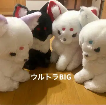 쵸콘과 구미님 코마여우 봉제 인형 울트라 big 쵸콘과 여우