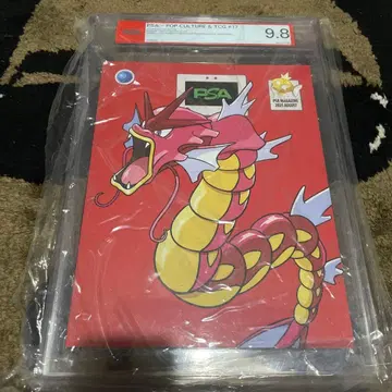 PSA 9.8 빨간색 갸라도스 PSA 매거진 포켓몬 이로치 고득점 BGS