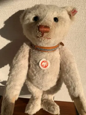 슈타이프 바스티안