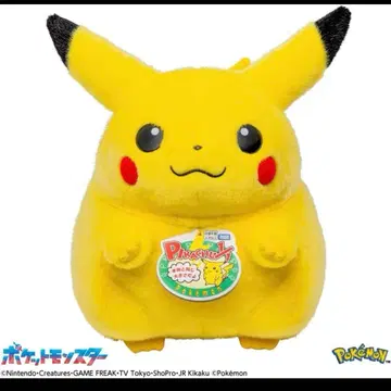 포켓몬 30주년 기념 돌아와! 피카츄 1/1 봉제 인형