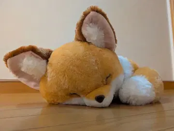 쵸콘과 여우 큐룬 잠옷 울트라 BIG 봉제 인형 (키나코)