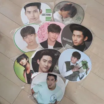 2PM 택연 부채 9장 세트