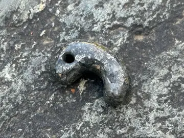 아오모리현산 은화석 구옥 금석