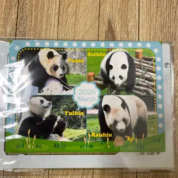 레어 한정판 팬더 패밀리 어드벤처 월드 사진 프레임 L 사이즈 대응