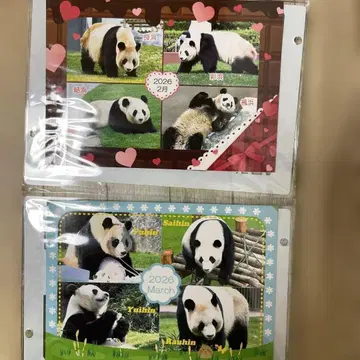 레어 한정판 팬더 패밀리 어드벤처 월드 사진 액자 L 사이즈 대응