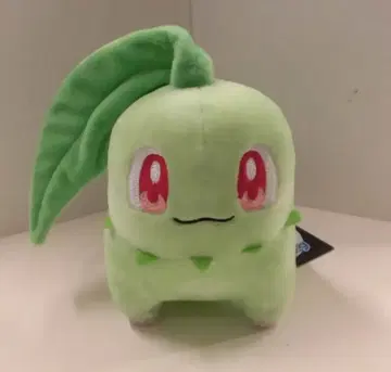 포켓몬 봉제 인형 포켓몬스터 치코리타