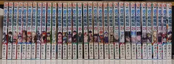 청의 엑소시스트 전 32권 + 정십자 기사단 가이드