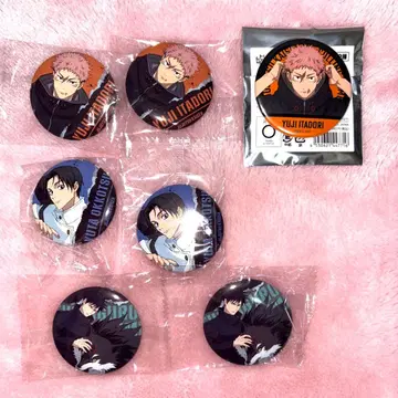 주술회전 사멸회유편 캔뱃지