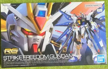 RG 스트라이크 프리덤 건담 미조립