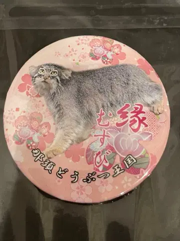 마늘고양이 인연 맺기 설 한정판 캔뱃지 나스 동물 왕국 오마모리 복권