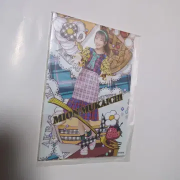 AKB48 무카이치 미온 다이마루 사진 컴프