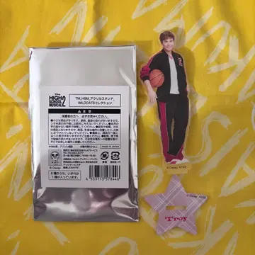 하이스쿨 뮤지컬 2 트로이 아크릴 스탠드 디즈니 마켓