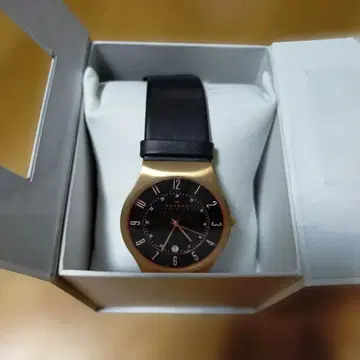 SKAGEN 덴마크제 시계 블랙