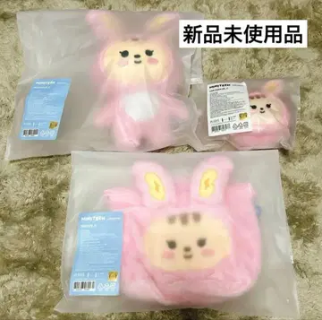 [미사용 새상품] SEVENTEEN 세부치 MINITEEN 정한