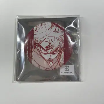 가치액터 트레이딩 캔뱃지 루드