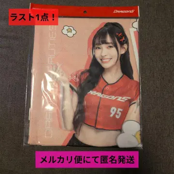 중화 직업 야구팀 웨이촨 드래곤즈 린샹 타월 2025년 3월 일본 방문