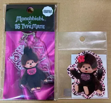 16 타입 메이트 x 몽치치