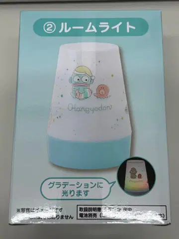 한교동 당첨 복권 룸 라이트