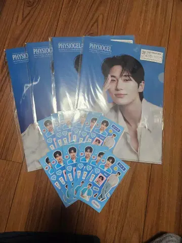 변우석 PHYSIOGEL 클리어 파일 스티커 한국