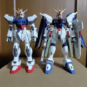 1/60 프리덤과 스트라이크