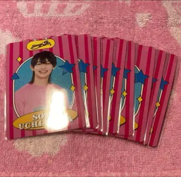 소년 닌자 우치무라 소타 프로필 카드 9장