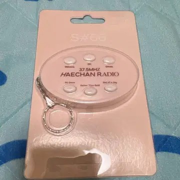 nct 해찬 보이스 키링 nct127 nct dream