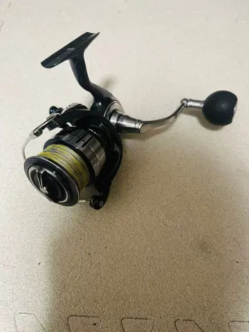 21 셀테이트 SW 6000XH