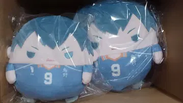 하이큐!! 누이쿠지 카게야마 토비오