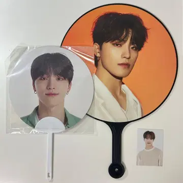 SEVENTEEN 디노 묶음 판매