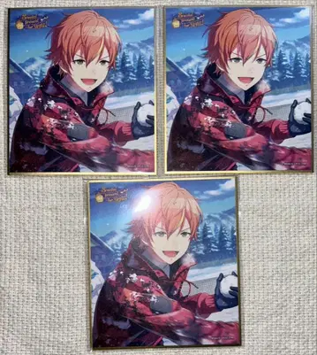 프로세카 시노노메 아키토 색지 53C 크리스마스