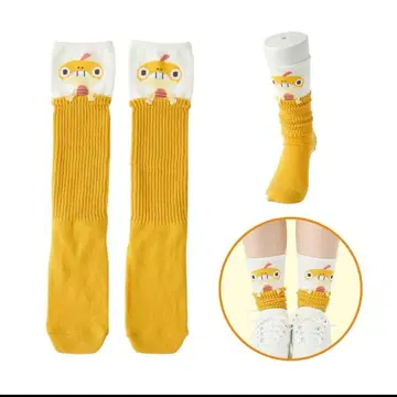 포켓몬 센터 루즈삭스 지라치 훈련중 양말