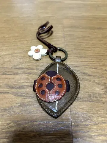 새상품급 겐텐 genten 와쿠와쿠 참 시리즈 무당벌레