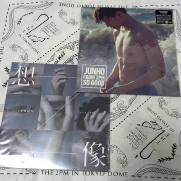 2PM 준호 [ SO GOOD ] [ 상상 ] LP반 완전 생산 한정판