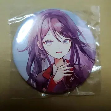 프로세카 Flyway 아이오이 CD 게이머즈 특전 캔뱃지 호시노 이치카