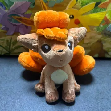 포켓몬 센터 pokemon fit 로토무 포켓몬fit