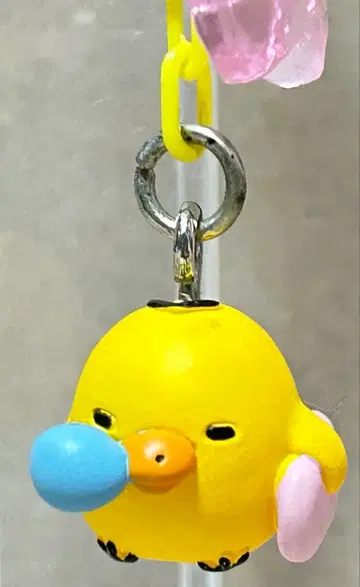 2009년 산엑스 리락쿠마 야후카시 키이로이트리 코초친