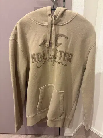 홀리스터 후드티