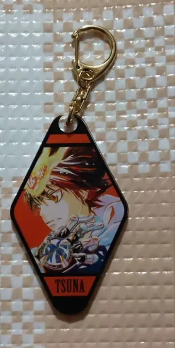 가정교사 히트맨 REBORN! 사와다 츠나요시 아크릴 키링