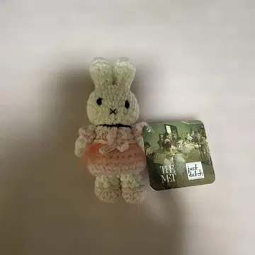 미피 저스트 더치 뮤지엄 이자벨라 아미구루미 댄스 클래스