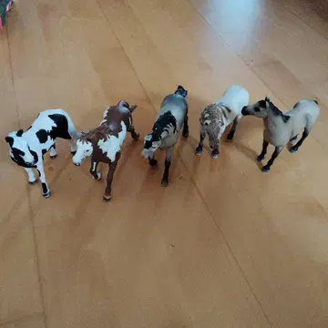 말 슐라이히 핑 안달루시아 머스탱 총 5두 세트