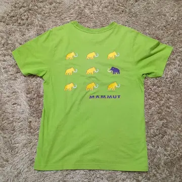 MAMMUT 마무트 T셔츠 맨몸 S 플래시 그린