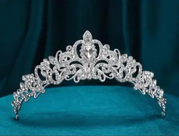 티아라 코스프레