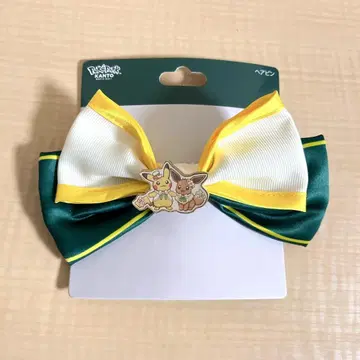 포켓파크 칸토 헤어핀 피카츄 이브이 카니발 의상