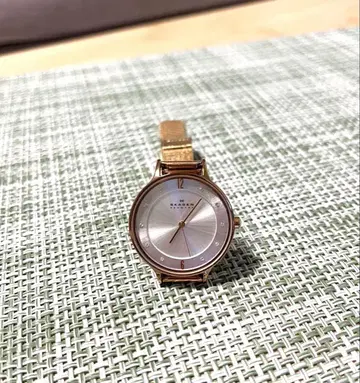 SKAGEN 스카겐 핑크 골드 손목시계 SKW2151